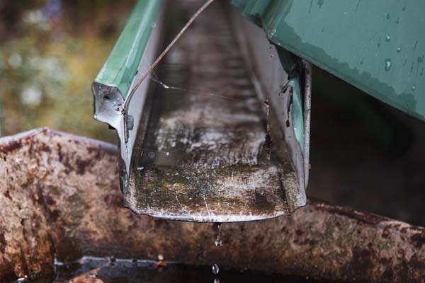 Gutter Cleaning